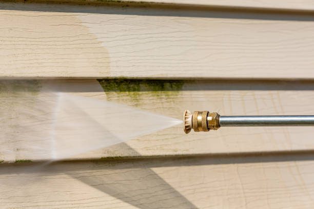 Best Pressure Washing Near Me  in Piednt, MO